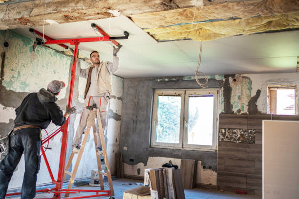 Best Insulation Repair Services  in New Pek, IN